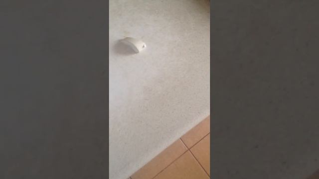 Причина появления дыма из утюга смотреть онлайн