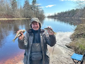 Клёв Ельца спустя 12 дней. Чёрная речка. Зеленогорск. Финский залив.