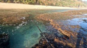 Рыбалка на ултралайтовый спиннинг на пляже о. Бали┃Ловля групера и снепера на мелкие воблеры