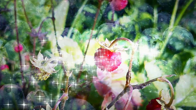 Травяной чай Купить травяной чай в Воронеже смотреть онлайн