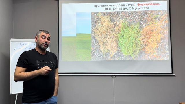 Чечевица. Part 1. Место в севообороте, подготовка семян, посев. смотреть онлайн