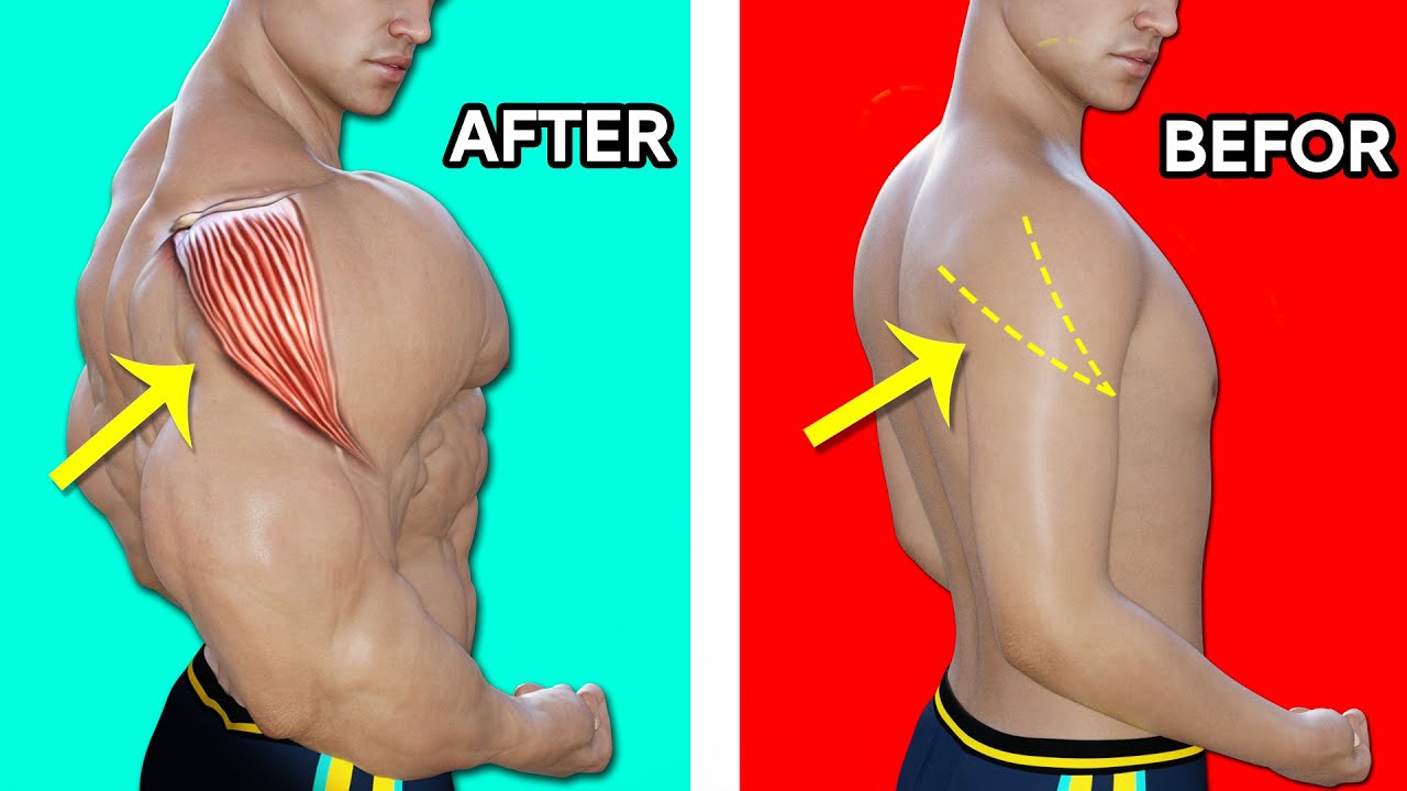 Как вырастить заднюю дельту (6 ключевых упражнений) смотреть онлайн