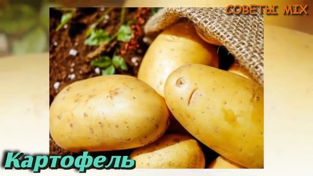 Как понизить давление в домашних условиях с помощью этих простых продуктов смотреть онлайн