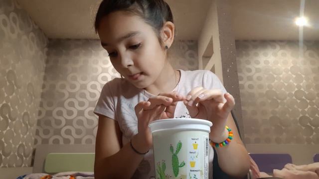 Я посадила кактус 🌵, который мне подарили на НГ/первый раз-первый кактус/это очень интересно
