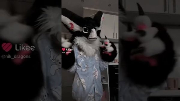 ?~Фурри и рапторы из Лайка~? #1