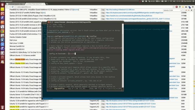 Vagrant: Ubuntu 12.04 guest with public / bridged static IP смотреть онлайн