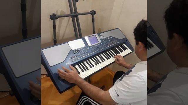 Korg pa 800 Çanakkale Türküsü смотреть онлайн