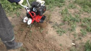 Культиватор shtenli 7000 expert рыхлит землю на отлично..