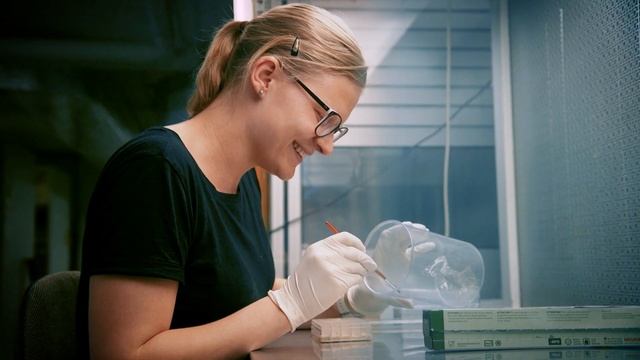 Andermatt Biocontrol Group – from a pioneer to a global player смотреть онлайн