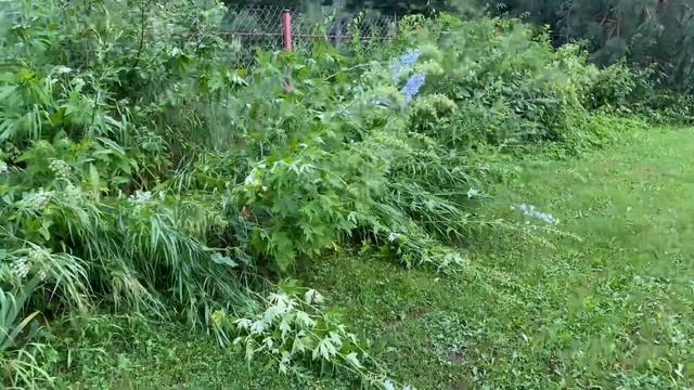 Последствия урагана в нашей деревне. Просто Константиновы. смотреть онлайн