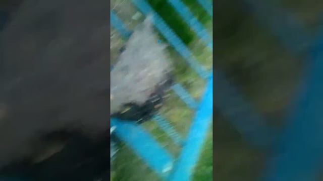 Тоже мне лучшие дороги России:-\ смотреть онлайн