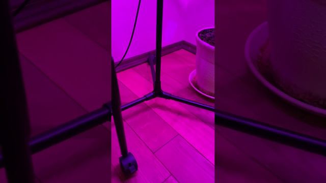2-story metal floor phytolamp for flowers and house plants Metaflex BI-2 Bicolor on wheels , black смотреть онлайн
