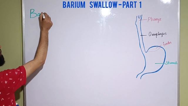 Barium Swallow || Part 1 || Clinical Indications || GIT System || By Aaqib Bhat смотреть онлайн
