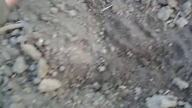 Посев кондитерского подсолнечника. смотреть онлайн