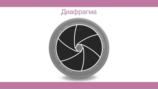 Нарезка анимации для курса Start To Photo смотреть онлайн