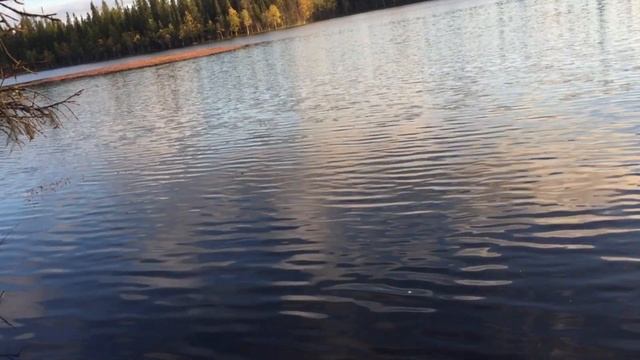 УВИДЕЛ ИЗБУ НА СПУТНИКОВОЙ КАРТЕ И РЕШИЛ ПРОВЕРИТЬ. ПОХОД НА НЕИЗВЕСТНОЕ ОЗЕРО "НА РЫБАЛКУ". смотреть онлайн