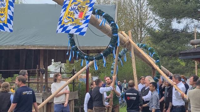 Майское дерево @tripletsveits смотреть онлайн