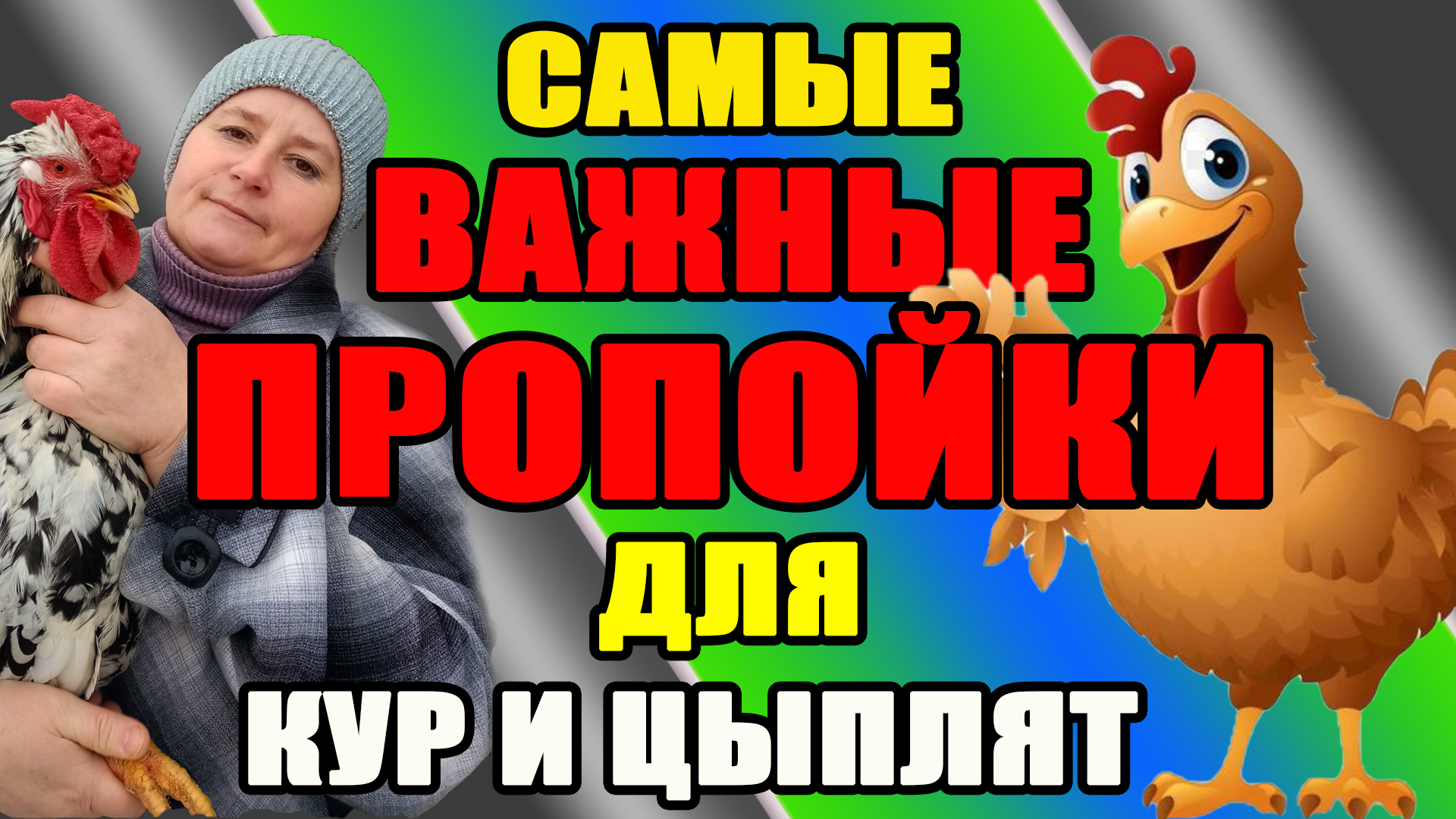 Самые важные пропойки кур и цыплят. смотреть онлайн