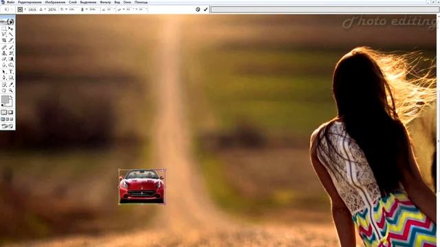 Львы на дороге / Lions on the road / работа в фотошопе / photoshop work смотреть онлайн