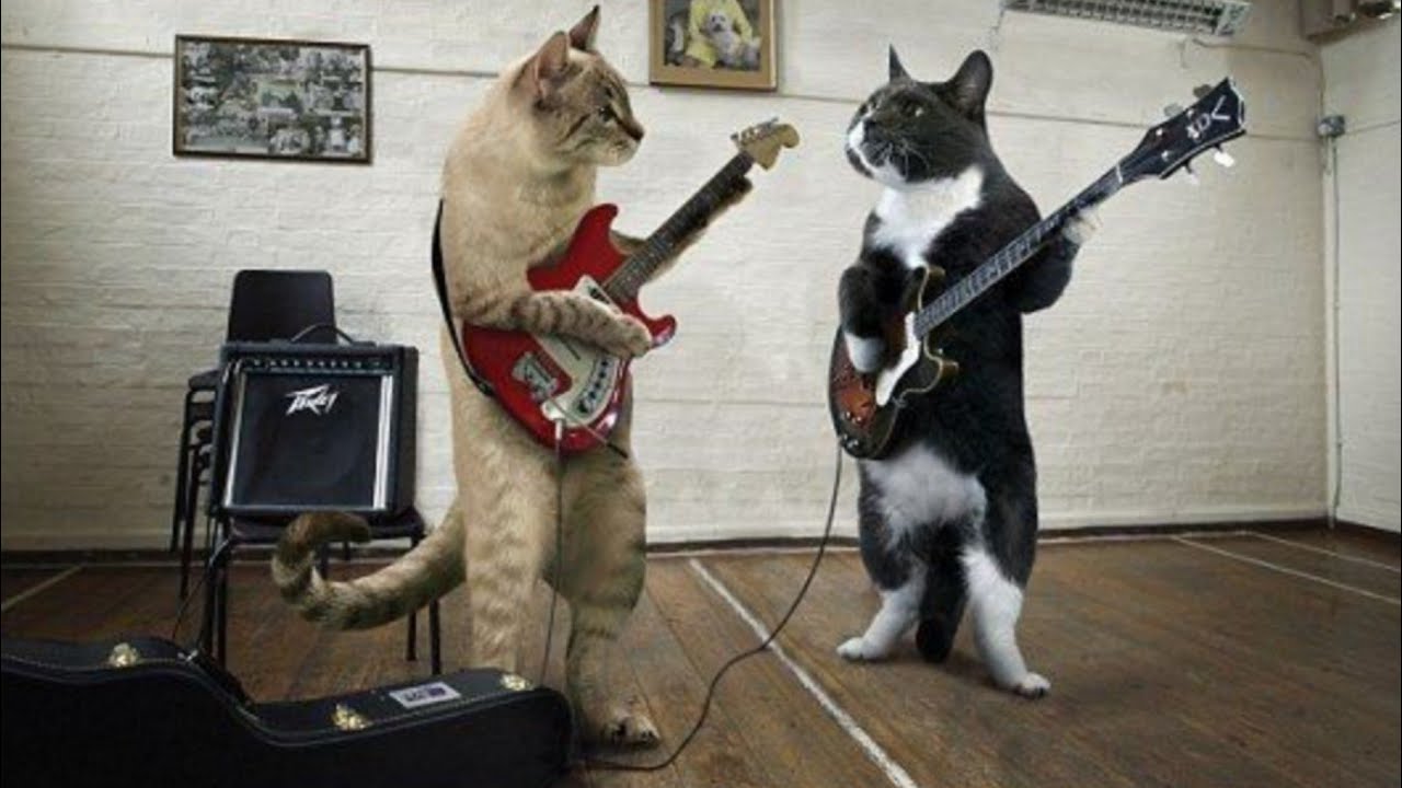 Я Хороший Мальчик Руки Вверх Сдавайтесь