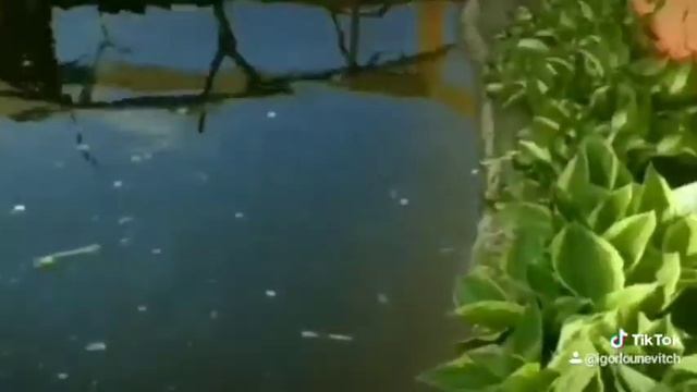 2 июня 2020 г. смотреть онлайн