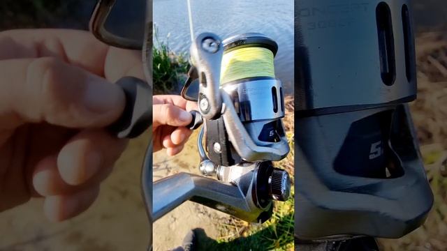 Рыбальный день