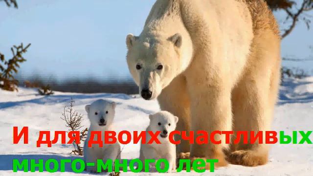 Караоке "Песенка о медведях" смотреть онлайн
