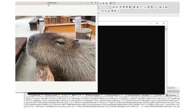 Trying to making Random-Image-Display program in C with GTK4 on Windows10 смотреть онлайн