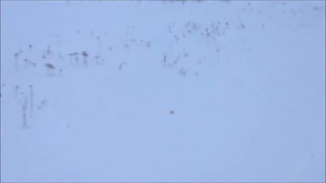 Открытие зимнего мото сезона 2016-2017( не большой анонс) смотреть онлайн