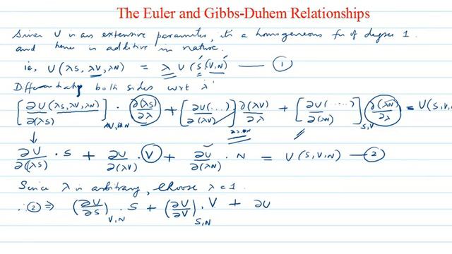 Euler & Gibbs Duhem Relations