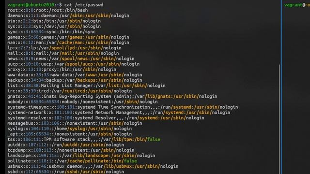 Bash #12 - Managing users & groups смотреть онлайн