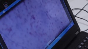 Агрокласс в школе № 69 г. Тюмени