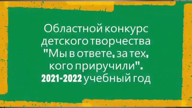 2022 год январь Лодейное Видео Поле смотреть онлайн