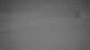 Arkon Alfa II ST25                                      Косуля, дистанция 250 м. ??