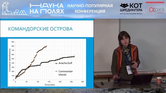 Ольга Филатова: Как изучают косаток? смотреть онлайн