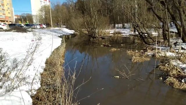 Куда пропал? Объясняю смотреть онлайн