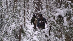 Охота на соболя в Сибири. яркие моменты промысла.