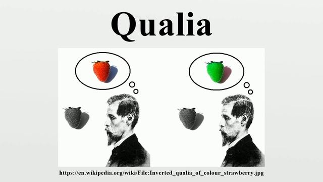 Qualia