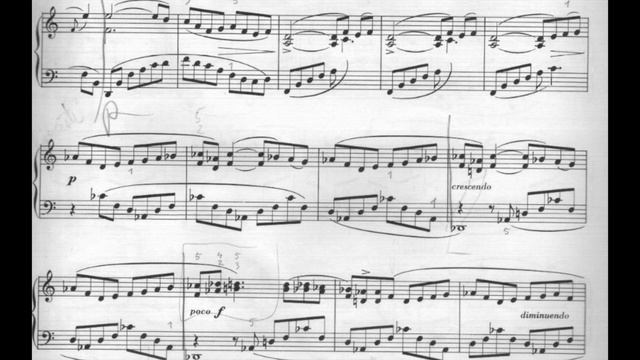 Jean Sibelius - 5 Sketches For Piano Op.114