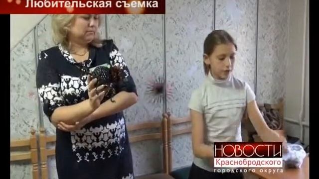 В стране мастеров смотреть онлайн