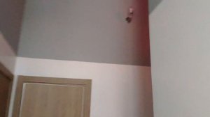 ГОВОРУН ПКИ-РС1-С оповещатель свето-звуковой.