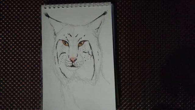 Рисую на камеру (1) Мультяшная рысь смотреть онлайн