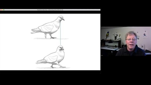 Virtual Science Cafe: ‘WHAT IT’S LIKE TO BE A BIRD: FROM FLYING TO NESTING, EATING TO SINGING’ смотреть онлайн