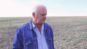 ВСХОДЫ РАПСА