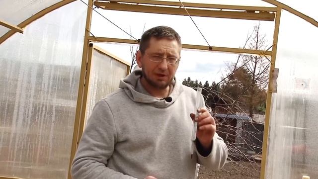 Когда высаживать рассаду в теплицу смотреть онлайн