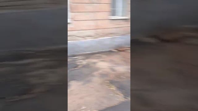 Идём к стоматологу часть 1 смотреть онлайн