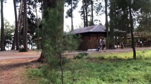 Пицунда, Лдзаа: пляжи и реликтовая роща