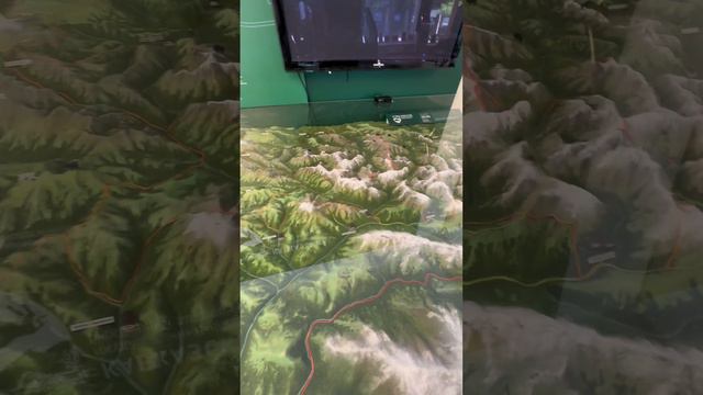 Прогулка по заповеднику смотреть онлайн