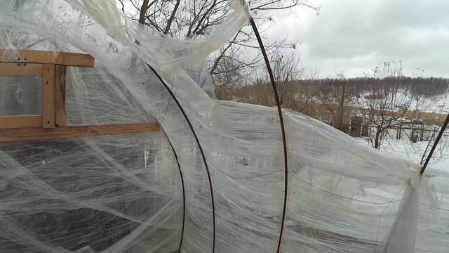 Теплица из стрейч пленки. Год спустя смотреть онлайн