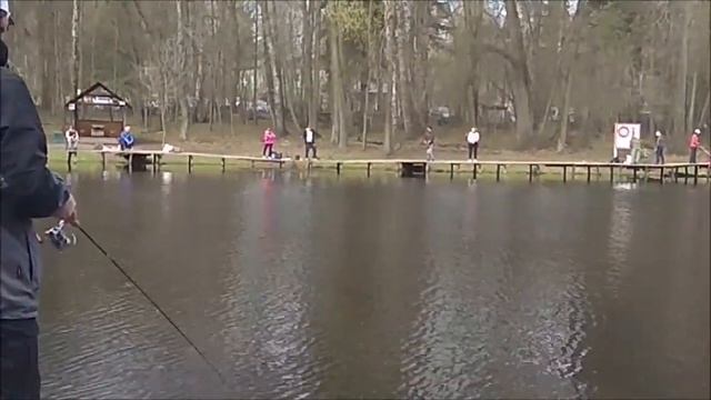 Форель хорошо ловится на спиннинг и бомбарду. Клёвое место, Лосиный остров, верхний водоём. смотреть онлайн